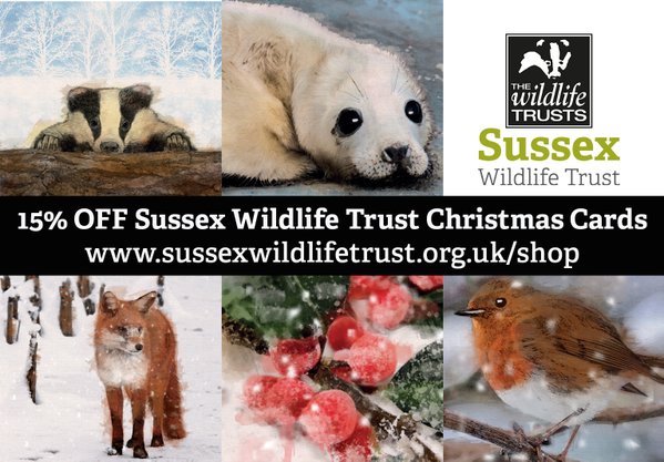 15% Off Christmas Cards